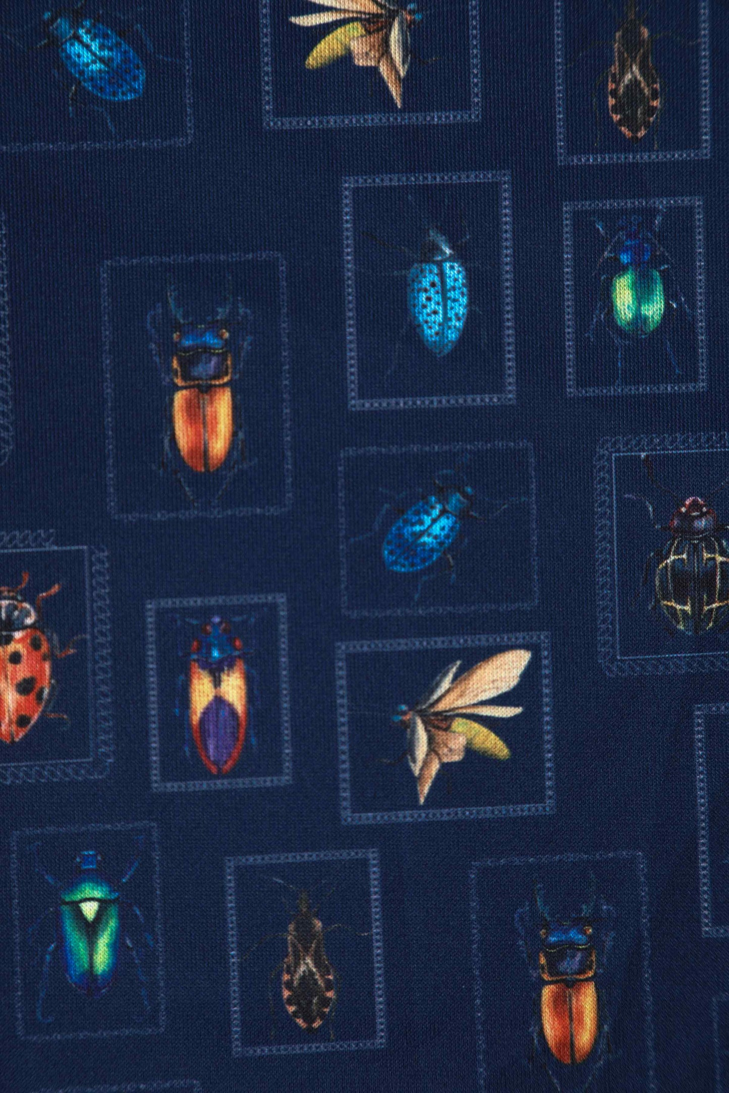 Amanda Navy Blue Bug Swing Dress