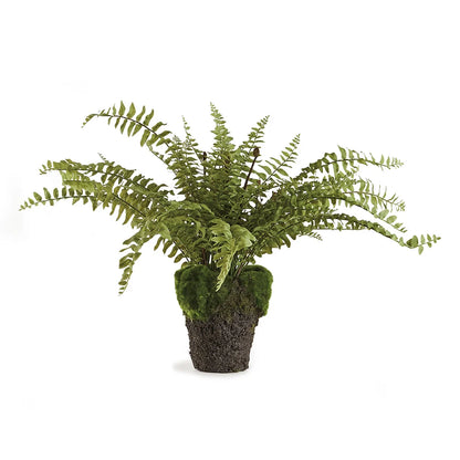 16” drop in fern