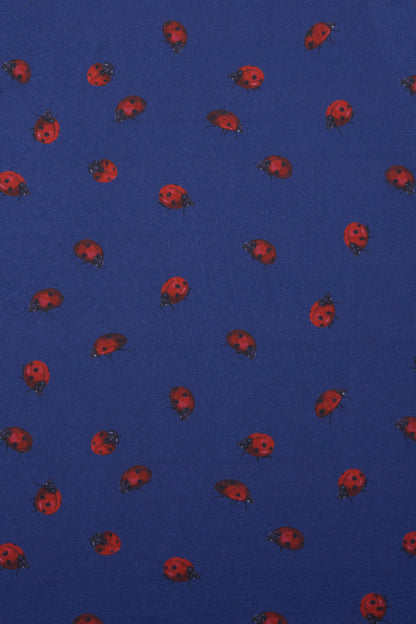 Kids Claudia Ladybug Navy Dress