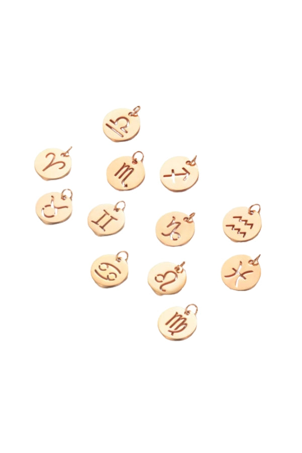 The Zodiac Charm