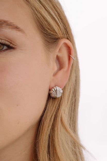 Seashell Earrings