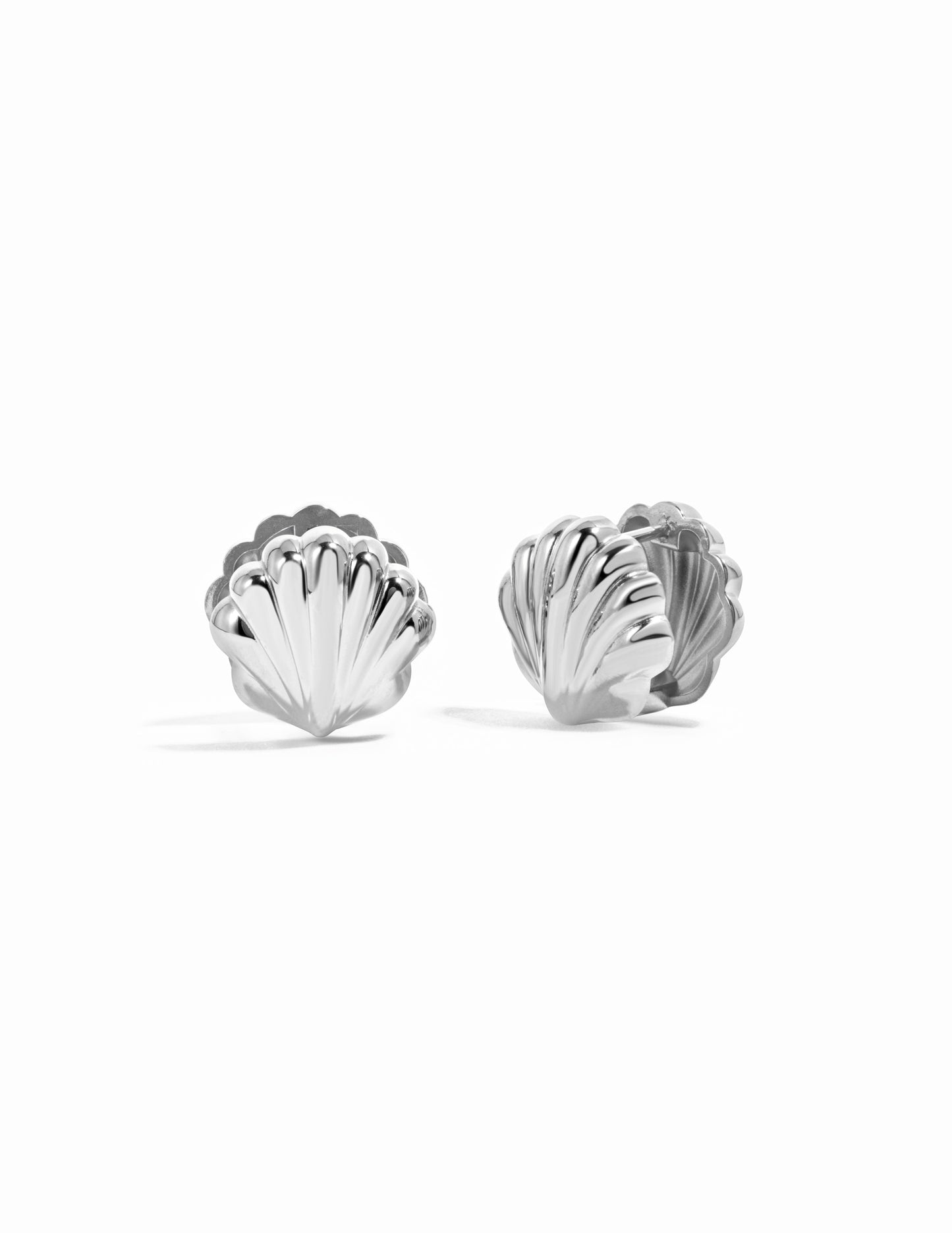 Seashell Earrings